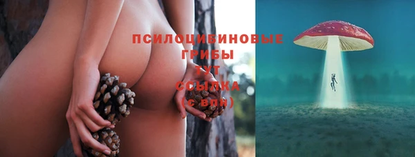 прущий лед Алексин