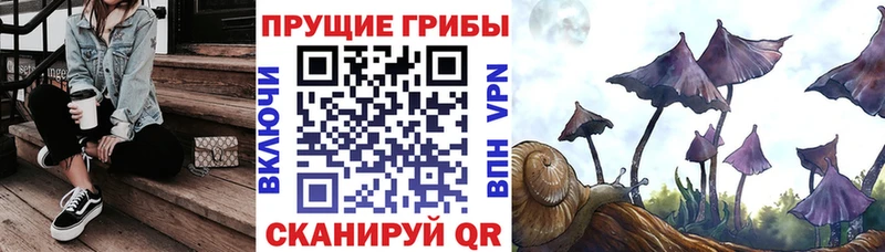 Галлюциногенные грибы Cubensis  Кулебаки 