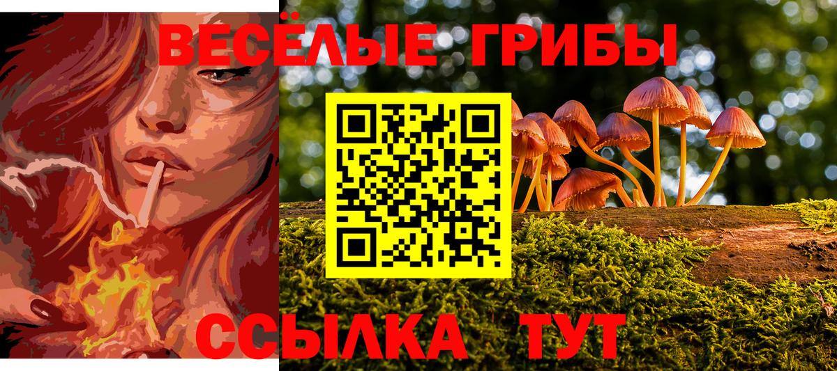 Псилоцибиновые грибы GOLDEN TEACHER Кулебаки