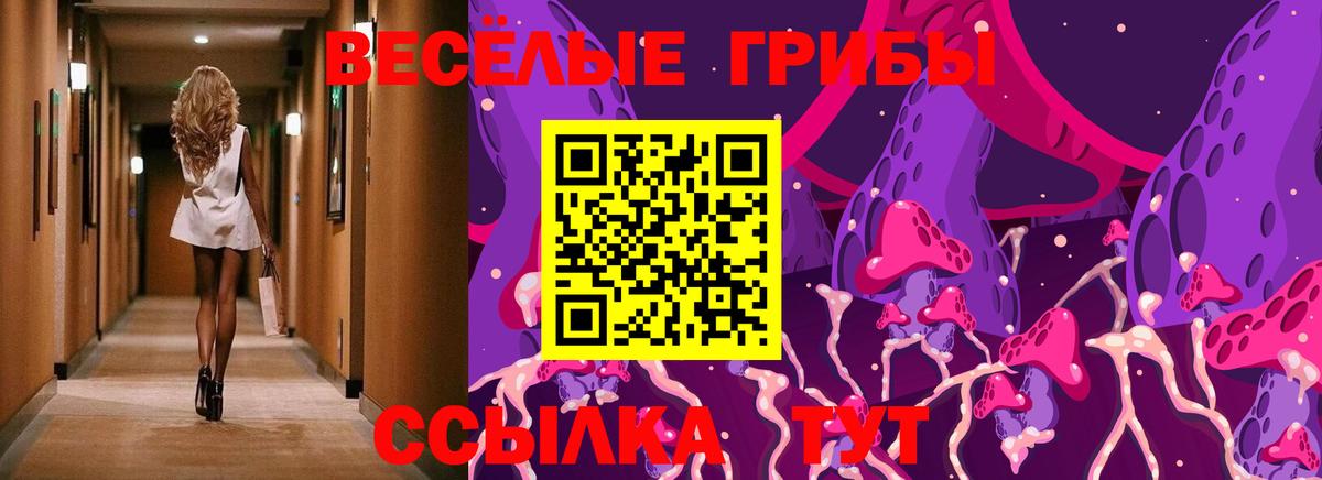 Псилоцибиновые грибы прущие грибы  Псилоцибиновые грибы Psilocybine cubensis  Кулебаки  Вход с VPN 